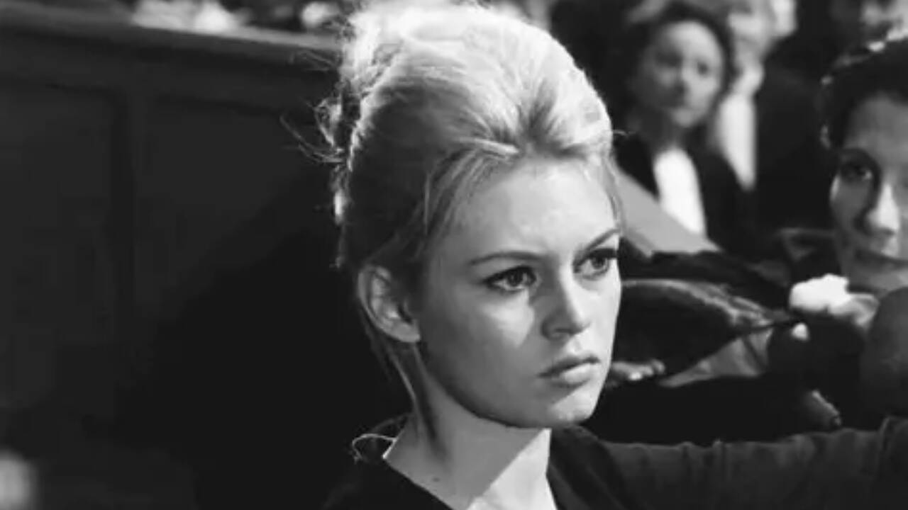 Quote of the day by Brigette Bardot: ‘I gave my beauty and my youth to men. I am going to give my wisdom and experience to animals’, inspiring lesson highlighting the French star's transition from the world of glamour into the field of animal care and how priorities in life change with time |