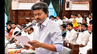 TN assembly passes resolution urging Centre to make Tamil primary language of Madras high court | Chennai News