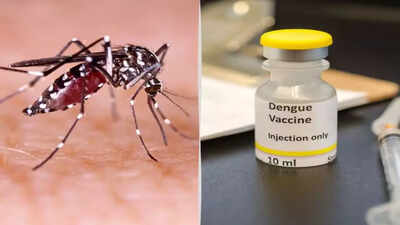 Dengue vaccine to hit market by first half of 2027 | India News