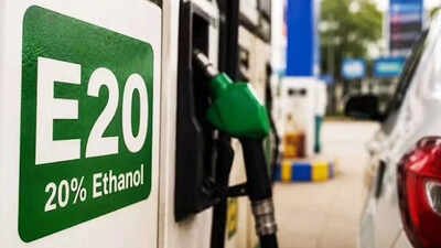 Govt eyes ethanol blending beyond E20 with flex-fuel vehicles, says PM advisor