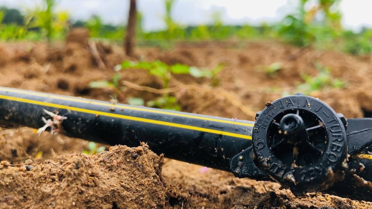 Jain Irrigation shares rally after ₹118 crore Maharashtra solar pump order