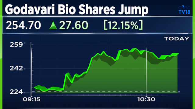 Godavari Biorefineries shares surge 13% after China grants patent for viral infection treatment
