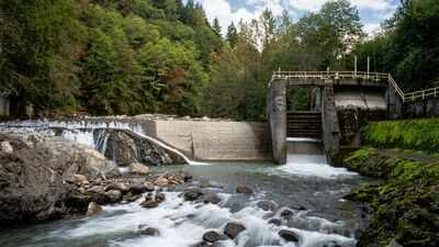 In 2020, the US removed 69 dams, reconnecting 624 miles of rivers and restoring habitat for salmon, steelhead and native fish species | World News