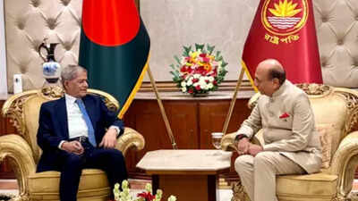 Indian envoy meets Bangladesh president, stresses strengthening 'deep-rooted' ties | India News