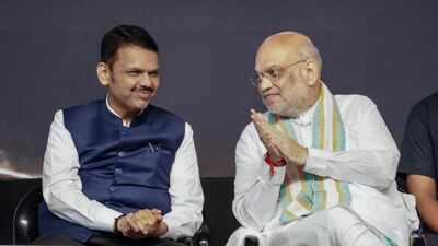 Maharashtra govt aims to table UCC Bill in assembly winter session: CM Fadnavis | India News