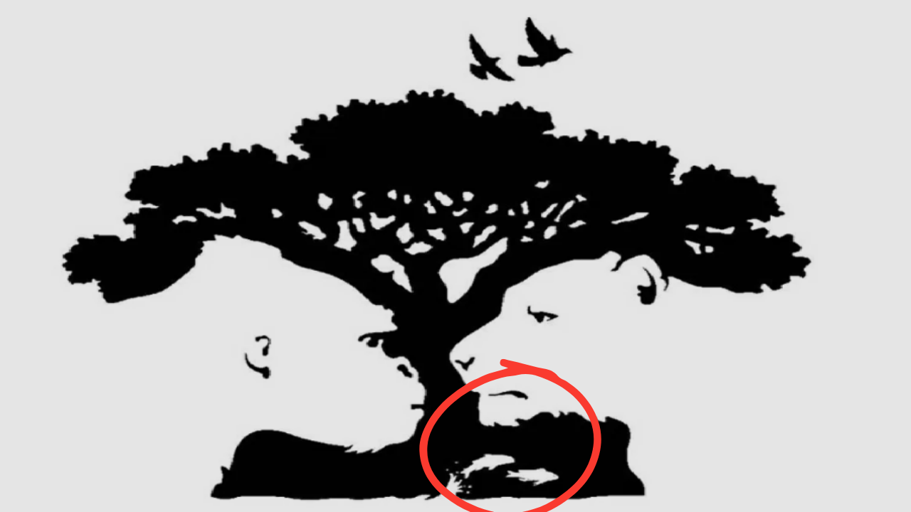 What you see first reveals your biggest hidden strength
