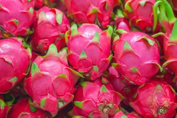Why adding this nutrient-rich fruit to your diet may be good for you