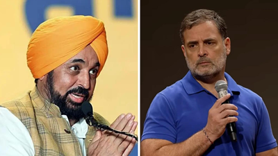 'Punjabis don't like politics over dead': CM Mann counters Rahul over Gulzar Singh's suicide | India News