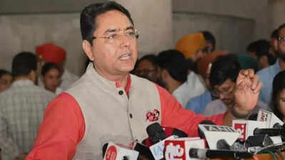 Gangsterism In Punjab: Gangster's extradition from Moldova shows Mann government's resolve: Punjab minister | India News