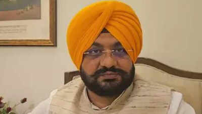 Over 5.10 lakh people benefited from govt pilgrimage scheme: Punjab minister | India News