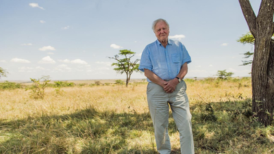 Quote of the day by David Attenborough: “The nature of human beings is that they'd far rather face the disaster that is happening tonight than..." |
