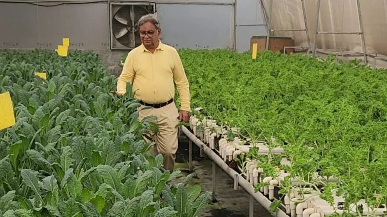 In 2019, this engineer started cultivating saffron, not in Kashmir but inside a room in Noida; he invested ₹6 lakh and now earns an estimated ₹3.5 lakh a month