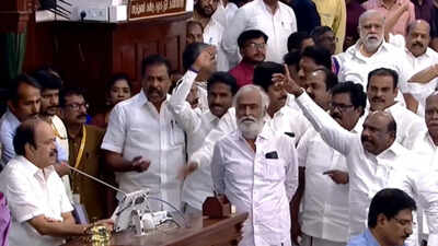 DMK MLAs evicted from TN assembly after ruckus over CM Vijay's remarks | India News