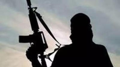 Army, CRPF, J&K police launch joint operation in J&K's Udhampur after input on suspicious movement | India News