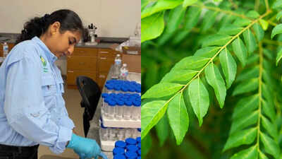 Meet Tanishka Aglave, the 17-year-old Valrico, Florida student who built a curry leaf treatment, steam system and AI tool to fight citrus greening; she won $50,000