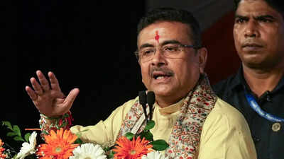 'I apologise': Bengal CM Adhikari after govt ad sparks row over 'distorted' Durga image | India News