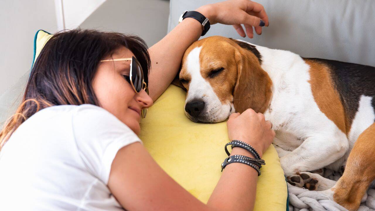 Psychology says sleeping with your pet does not mean you’re anxious: It may be about feeling safe, loved, and emotionally secure